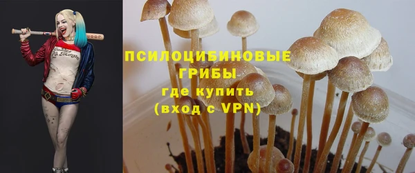 СК Магадан