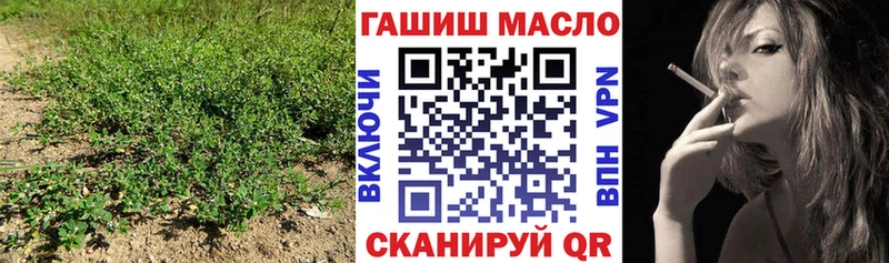 mega ONION  Холмск  Дистиллят ТГК вейп  купить наркотик 