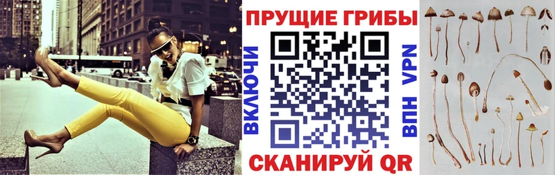 Псилоцибиновые грибы мицелий  Холмск 