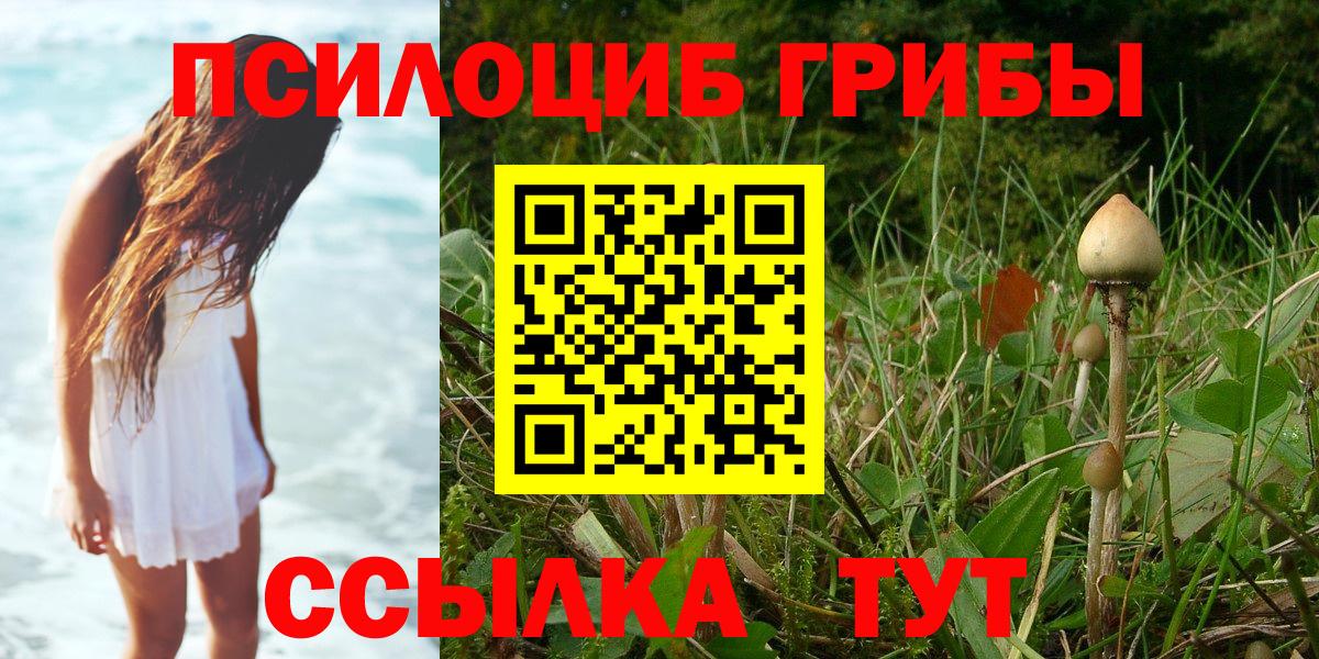 Холмск  Галлюциногенные грибы мухоморы  Вход с VPN 