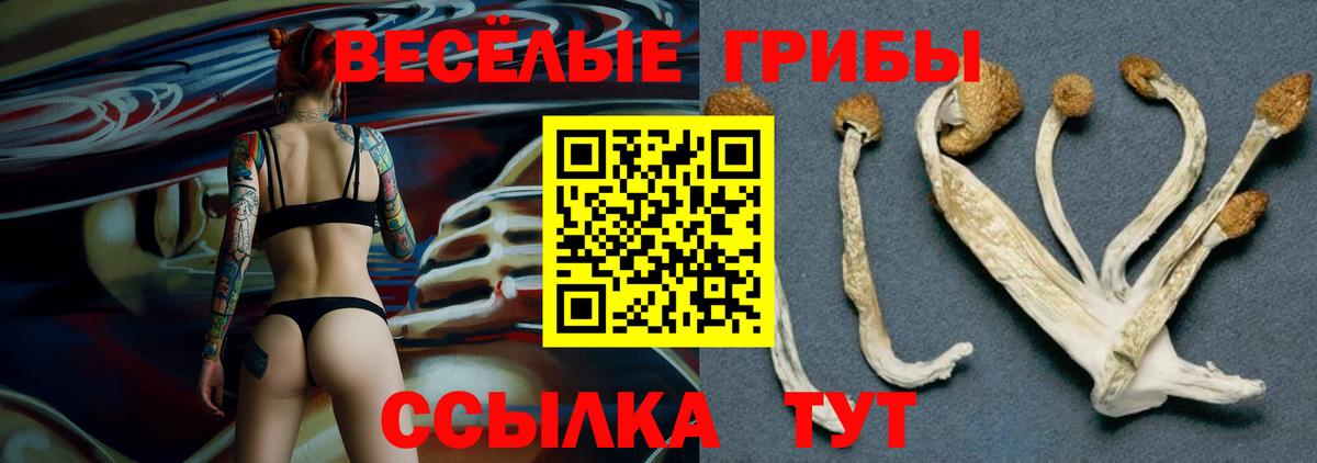 Псилоцибиновые грибы Cubensis Холмск